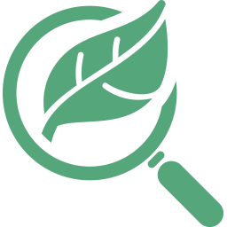 Organic SEO